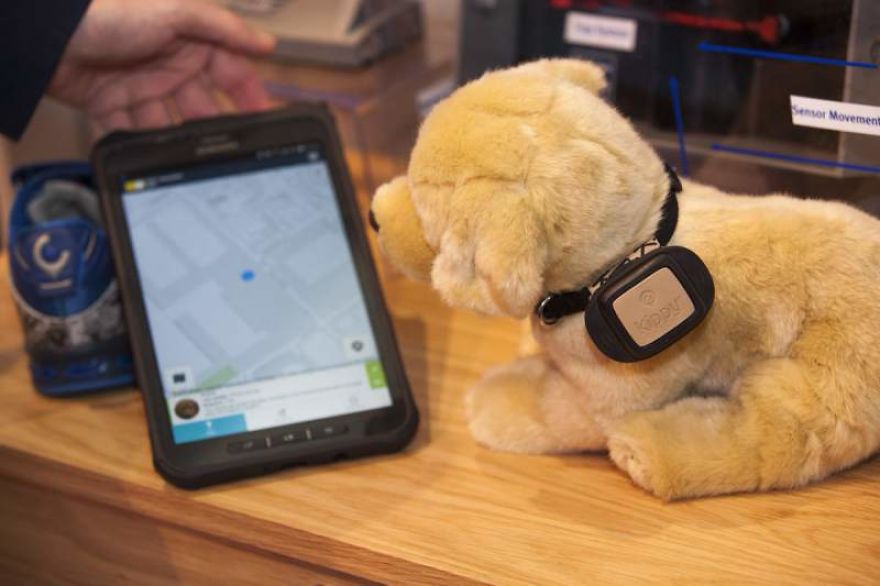 Pets, A Sector Pampered By Mobile Technology