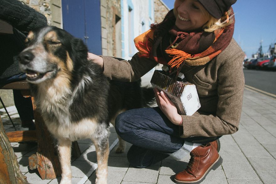 Project "Little Irish House" For Stray Animals In Lithuania