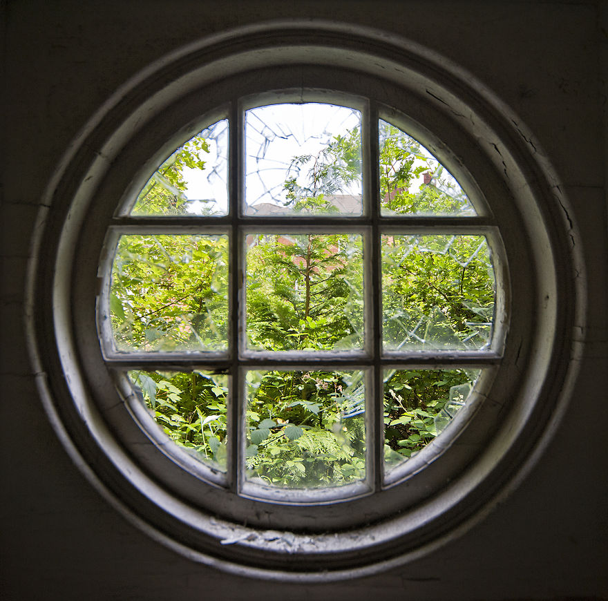 Through The Round Window