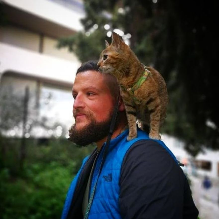 Scottish Man Decides To Cycle Across The Globe Solo But Finds A Stray Cat Which Accompanies Him