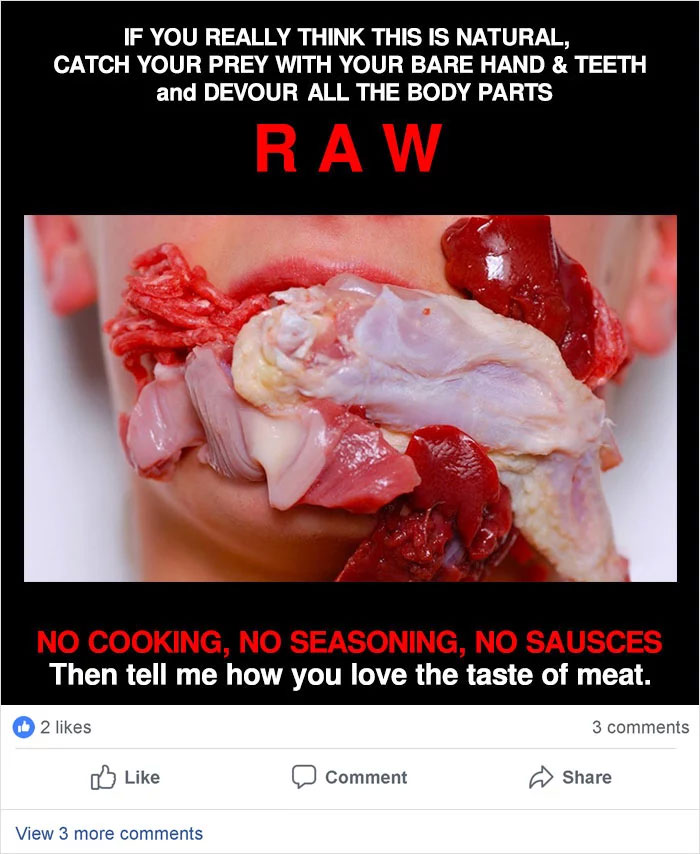 Vegan Asks People To Try Hunting Animals And Eating Them Raw In Order To See How Unnatural It Is For Humans, Gets Roasted Badly