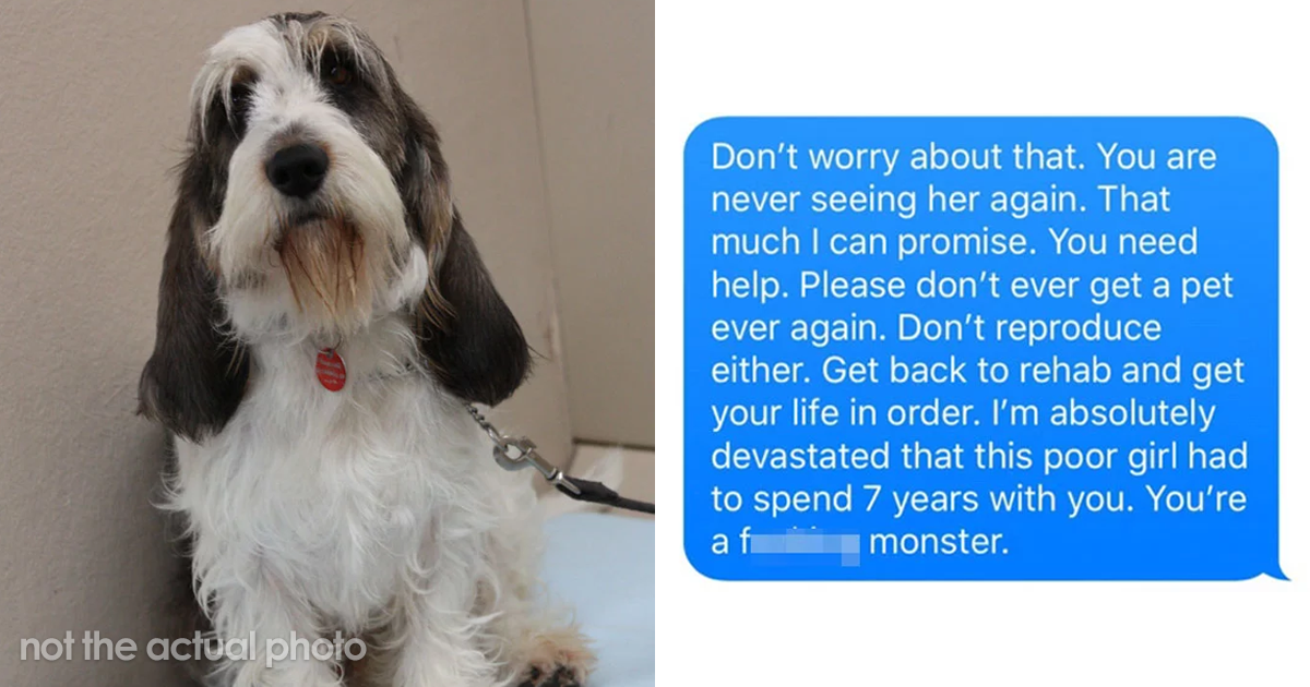 Old, Unwanted Dog Was About To Be ‘Gassed’ In Shelter, But When Someone ...