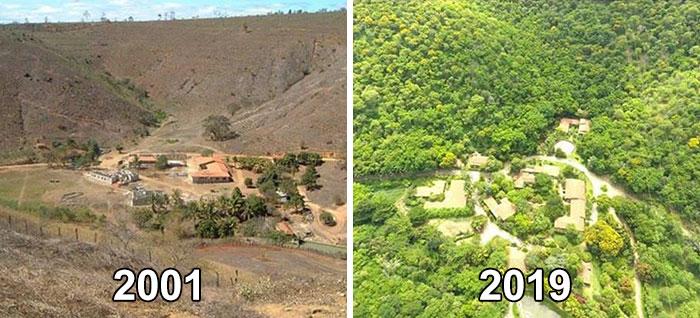 2001 to 2019 reforestation efforts in from Brazilian couple
