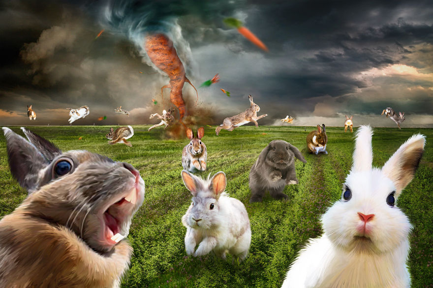 "Happy Easter, Bunnies!" (Aka "Carrot-Nado") "Happy Easter, Bunnies!" (Aka "Carrot-Nado")