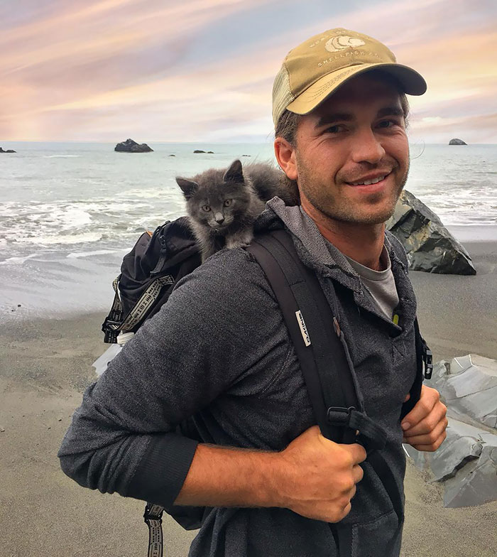 "One Of My Favorite Photos From Way Back When I Was A Kitten Backpacking With My Dad"