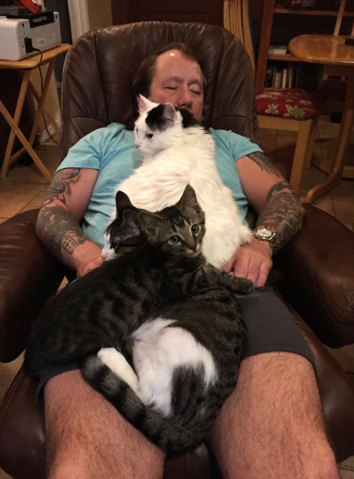 My Dad Has Achieved 100% Cat Relaxation