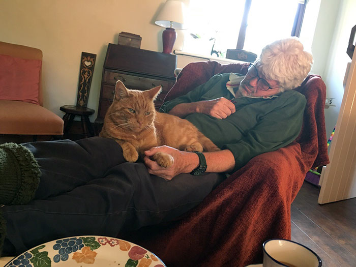 My Dad Tends To Hold The Cat's Hands When He Nods Off