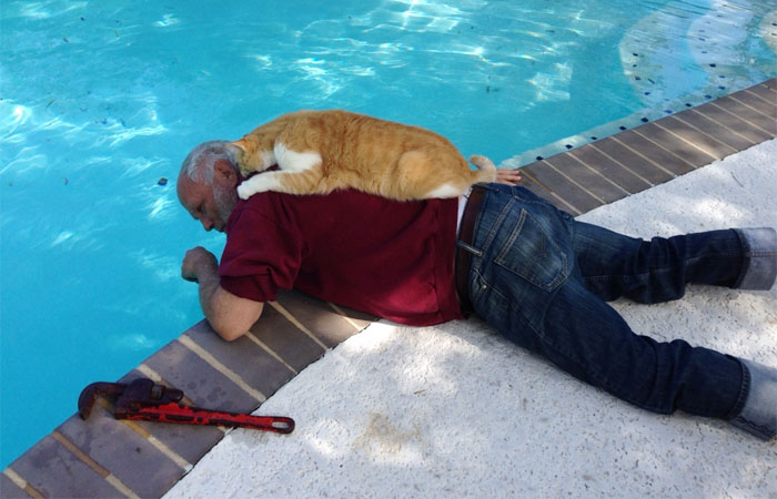 30 Of The Most Adorable Photos Of Cat Dads And Their Furry Friends