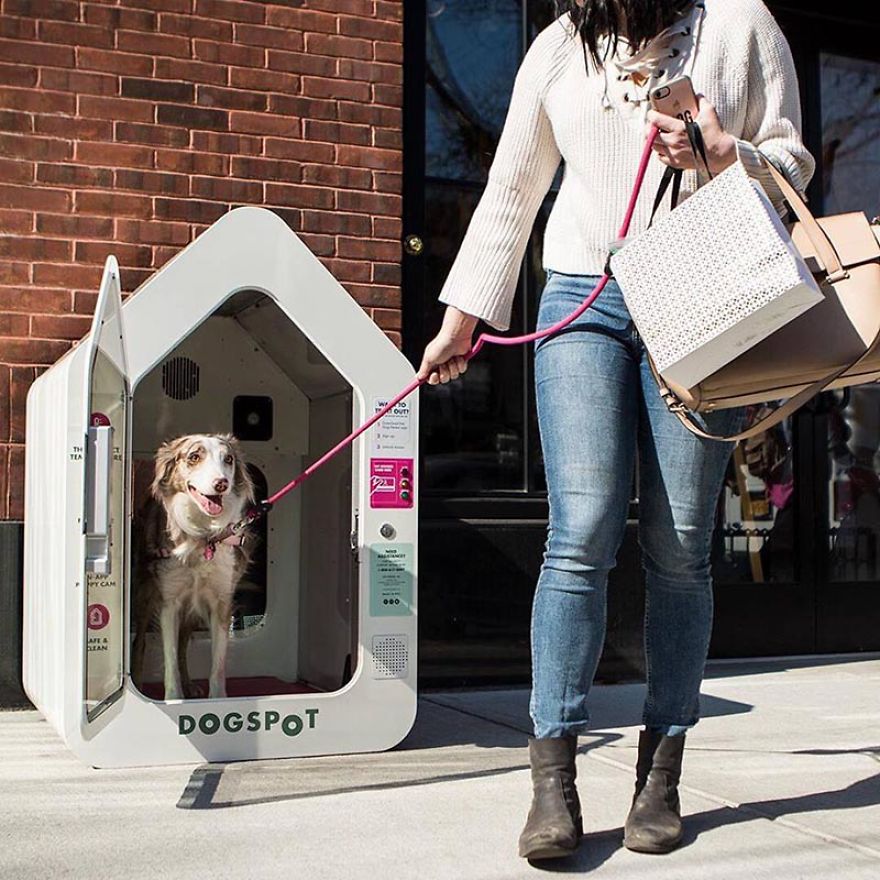The Techie Solution Making Dog-Friendly Cities