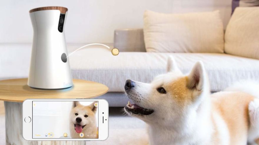 Pets, A Sector Pampered By Mobile Technology