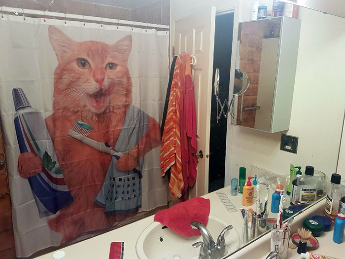 My Wife Left Me In Charge Of The Shower Curtain As Well