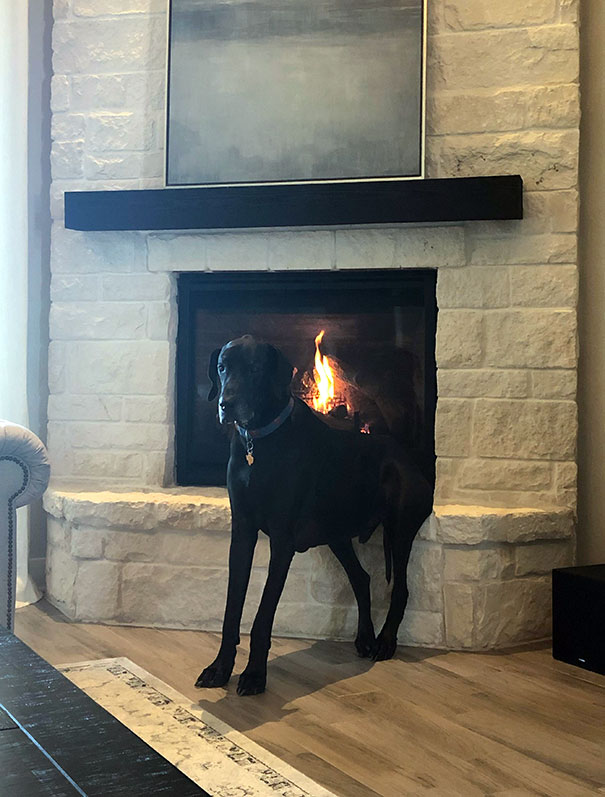 This Guy Loves To Warm Up By The Fire