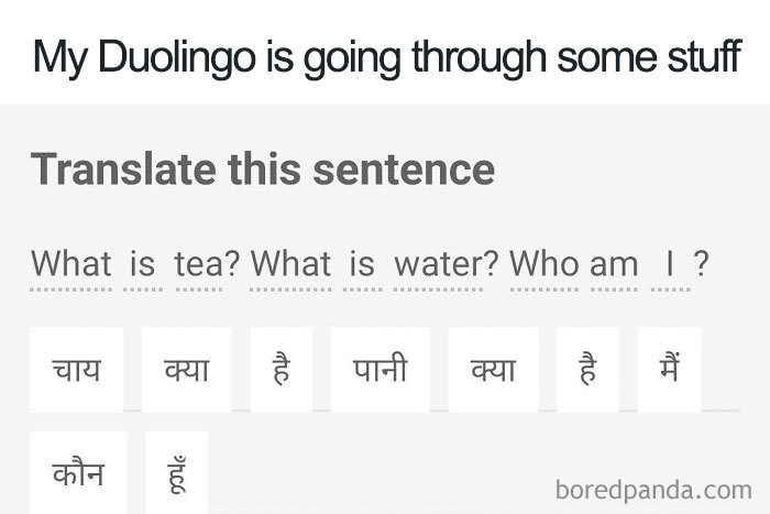 Funny-Duolingo-Bird-Memes