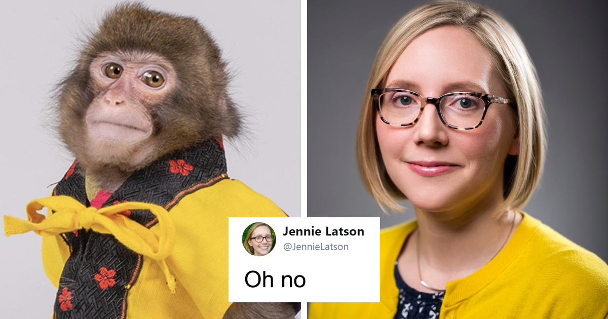 Someone Realizes This Monkey Looks Like Every Journalist And Real  Journalists Confirm With 24 Pics | Bored Panda
