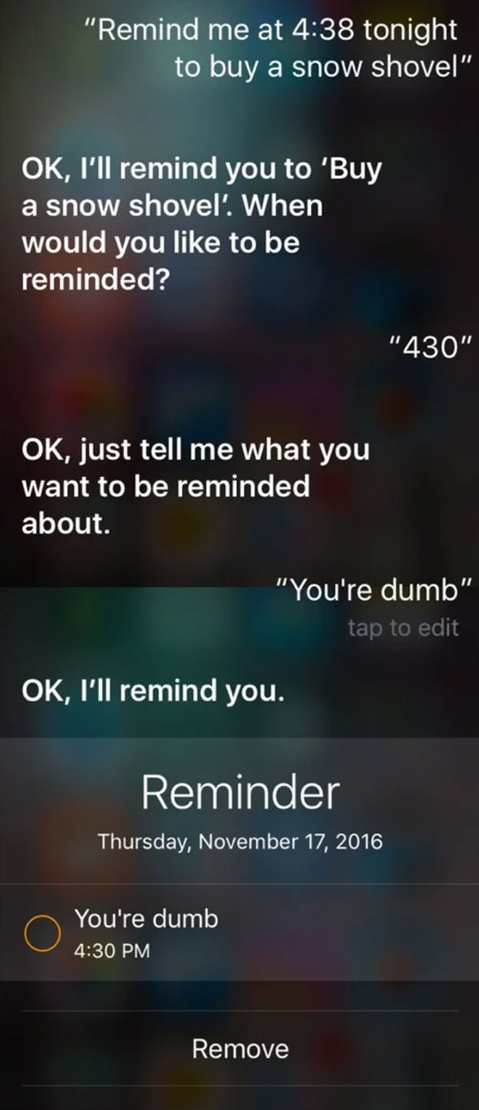 A Conversation With Siri