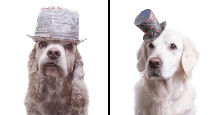I Upcycle Paper Into Cute Hats For Dogs