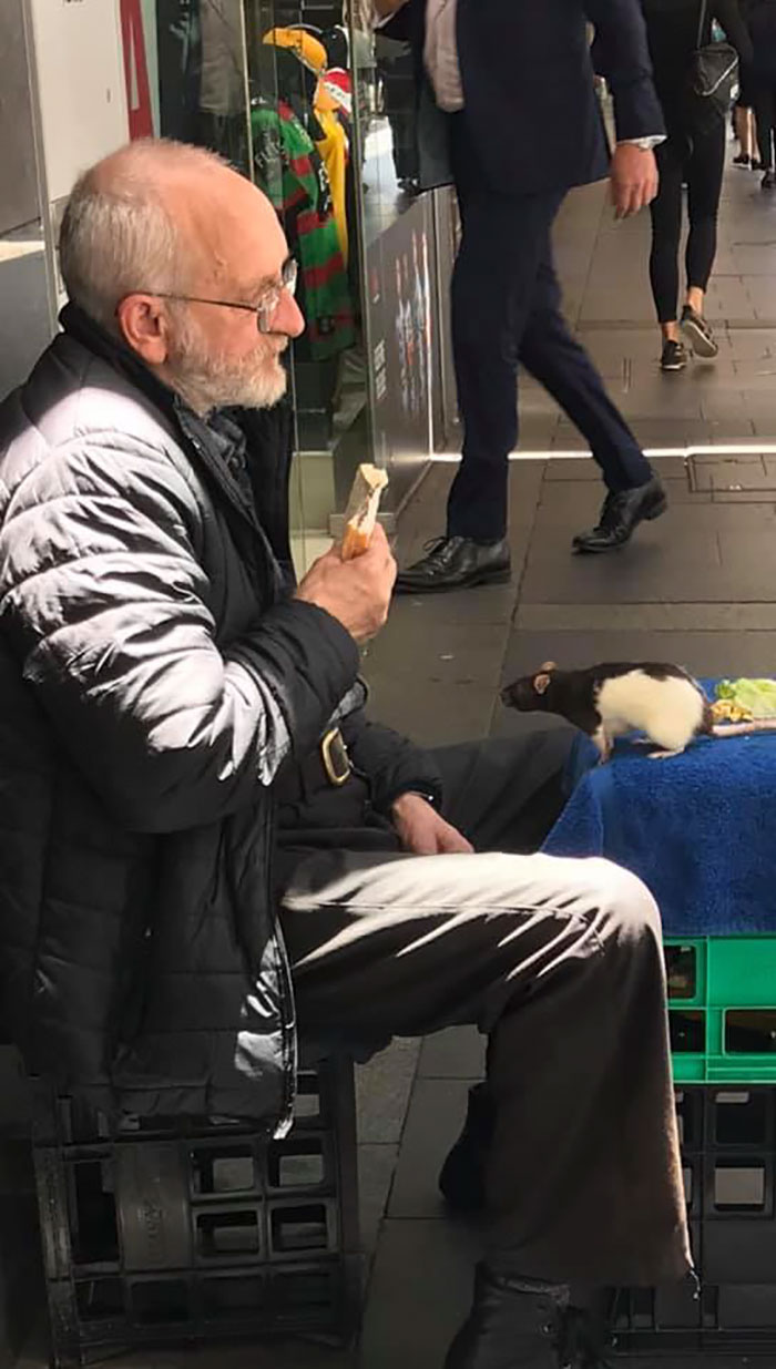 Homeless Man Asks People For Help After His Beloved Pet Rat Gets Stolen