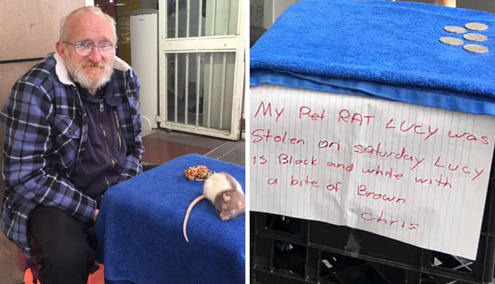Homeless Man Asks People For Help After His Beloved Pet Rat Gets Stolen