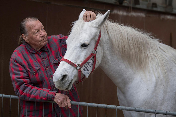 Horse Goes On A Walk Alone Every Day For 14 Years, Receives Pets And Treats From Residents