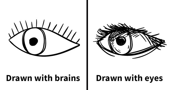 Este artista señala los errores que cometen los principiantes al dibujar con el cerebro y no con los ojos