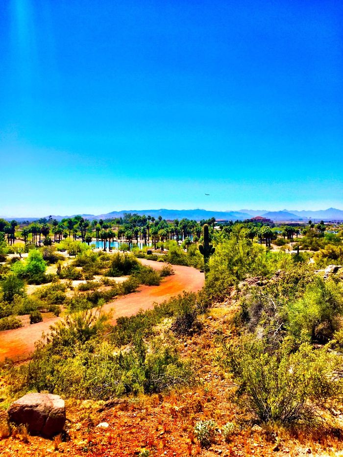 Arizona Views