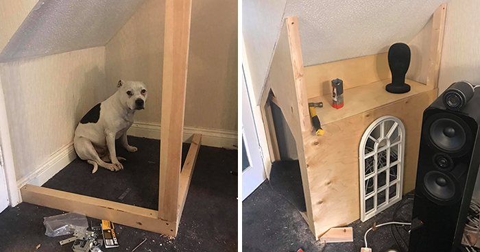 This Dog Has Trust Issues, So The Owner Built A ‘Boudoir Bedroom’ That Even Has A ‘TV’, To Comfort Him