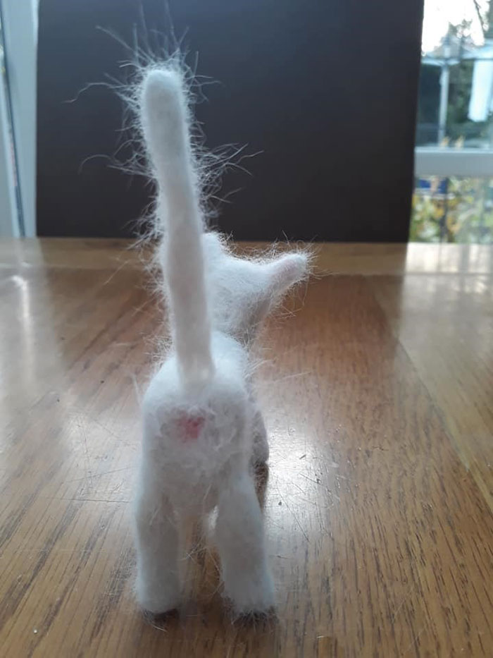 Woman Makes 'A Cat Out Of Her Cat' By Using Cat's Hair And The Result Inspires Others To Do The Same