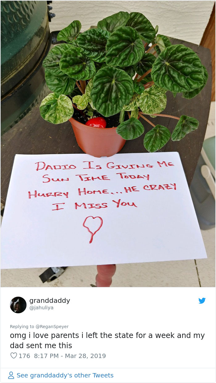 Daughter Asks Her Mom To Take Care Of Her Plants, Mom Uses It As An Opportunity To Hint About Wanting Grandkids