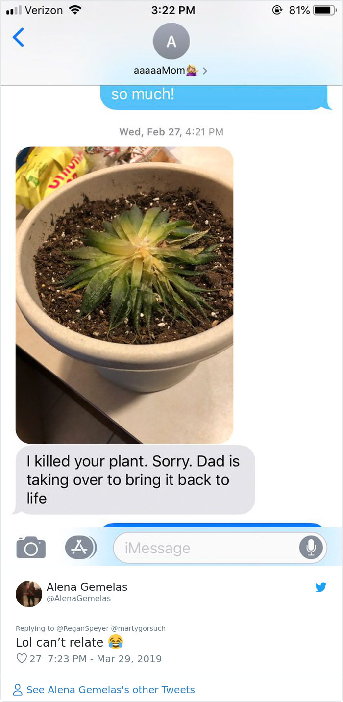 Daughter Asks Her Mom To Take Care Of Her Plants, Mom Uses It As An Opportunity To Hint About Wanting Grandkids