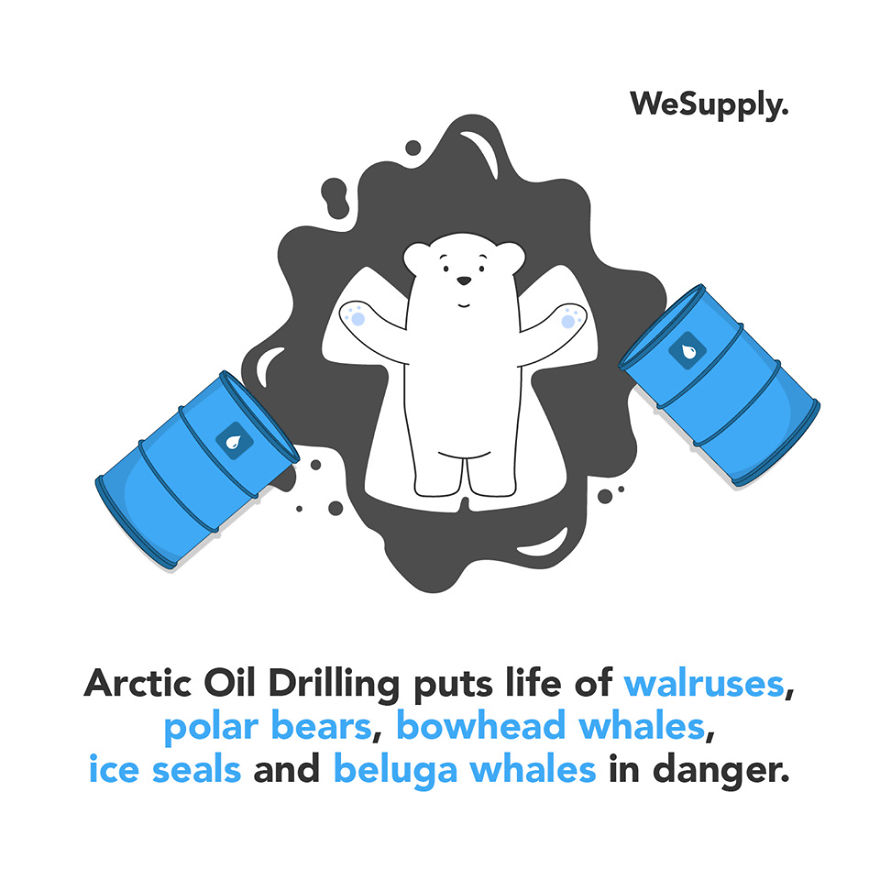 We Created 40 Informative Illustrations About Environmental Issues
