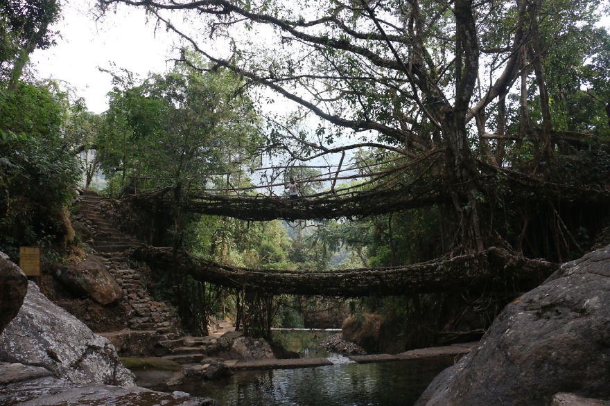 10 Reasons Why You Should Visit Meghalaya