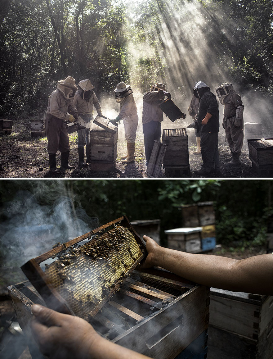 Environment, Stories, 2nd Prize, "God’s Honey" By Nadia Shira Cohen