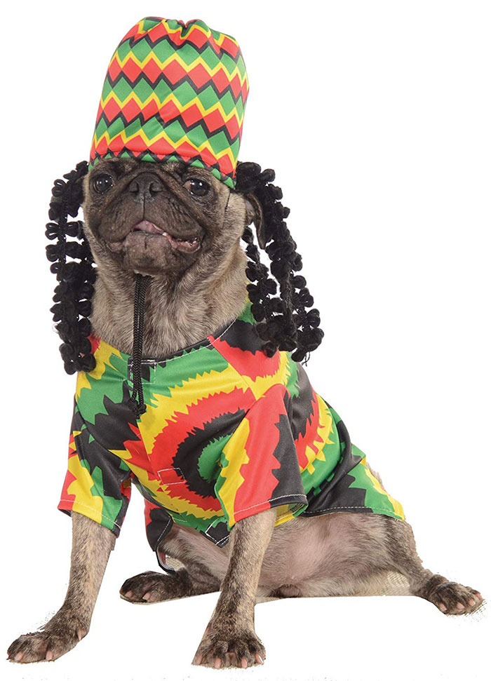 Rasta Dog Costume