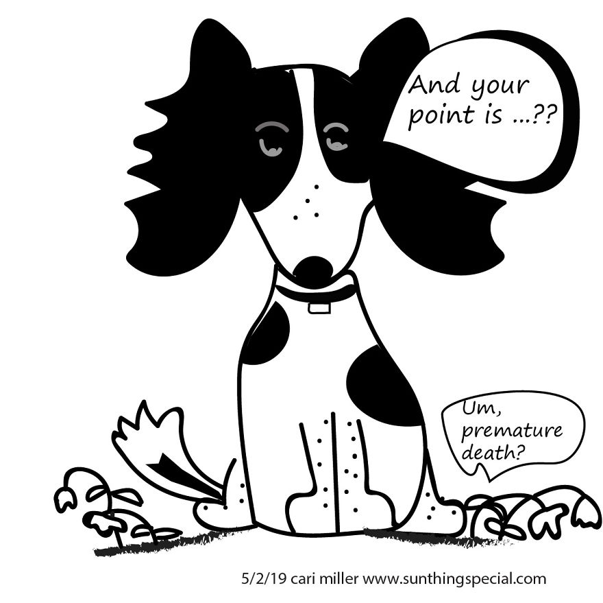 My Dog Is Sassy, Sweet And Smart