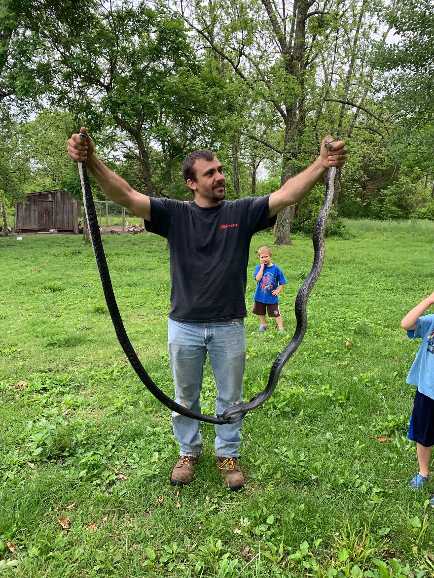 What Happens When A 6 1/2 Foot Black Snake Finds Its Way Into A Photographer's House