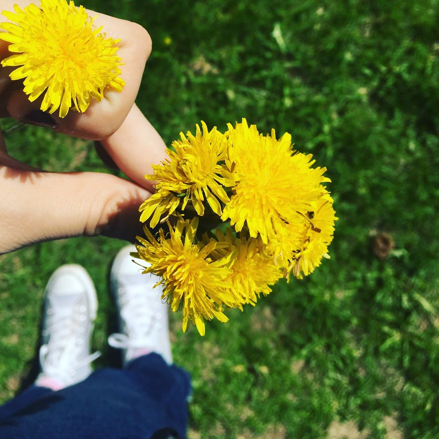 I'm Looking For Feedback On My Photography I'm Looking For Feedback On My Photography