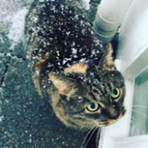 natashajethwa avatar