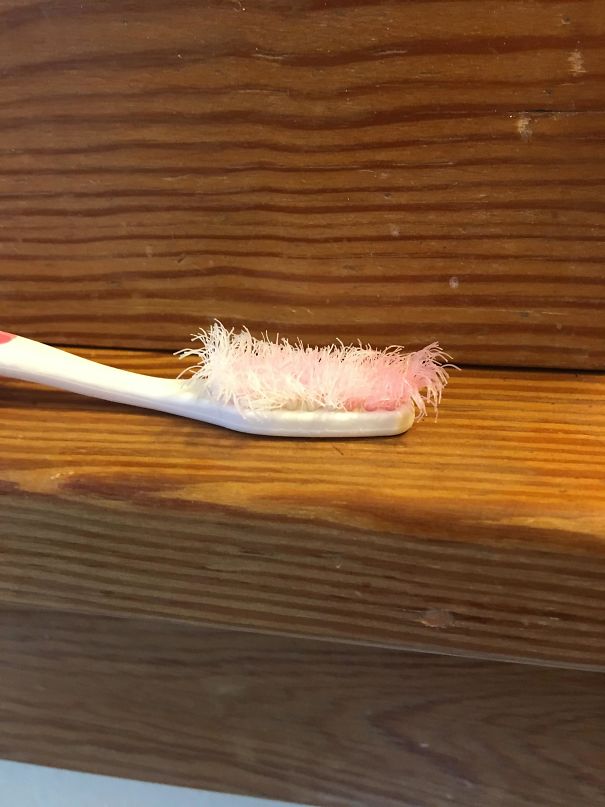 My Roommate's Toothbrush