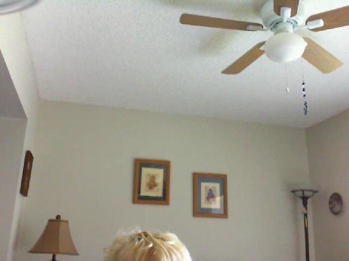 I Really Enjoy Seeing My Grandmother On Skype