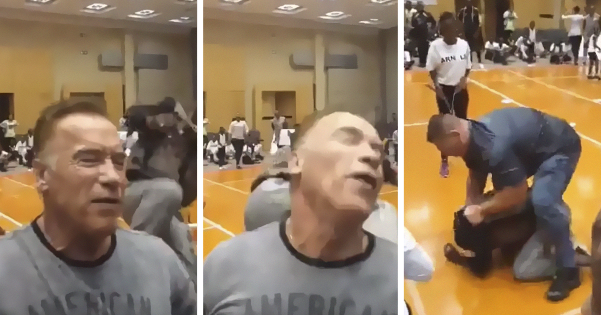 People Are Surprised At How Chill Arnold Schwarzenegger Is After