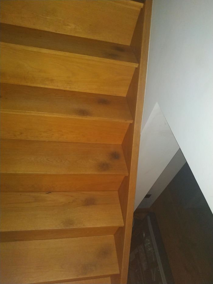 You Can See Where My Dog Has Gone Up The Stairs For The Last 7 Years
