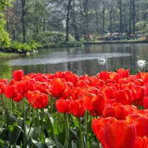 barbaraagarwal avatar