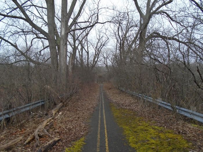 An Old Abandoned Road Slowly Healing Over And Being Reclaimed By Nature