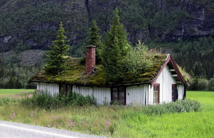 Abandoned House, Norway Style