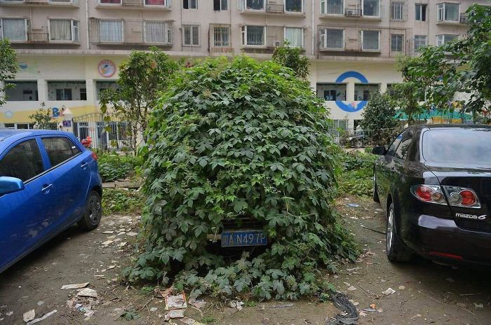 Abandoned Car In Beijing
