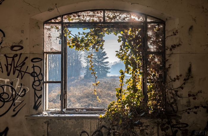 Abandoned Asylum In Italy That Has Been Touched By Bob Ross