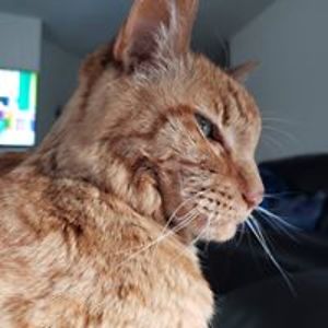 cassie_sprague avatar