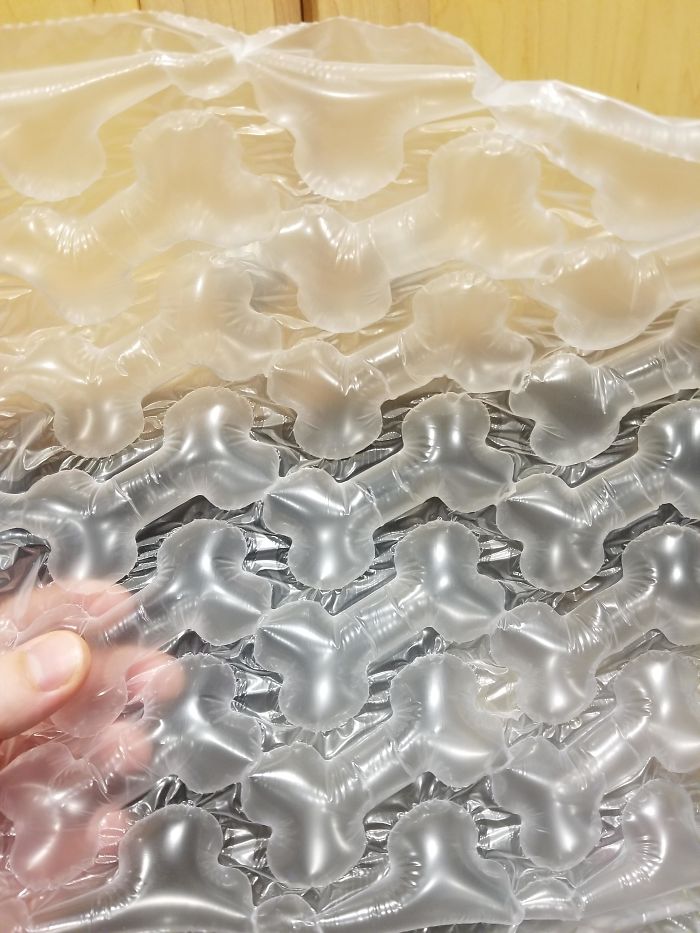 Bubble Wrap That Came With The Dog Treats I Ordered Is Shaped Like Bones
