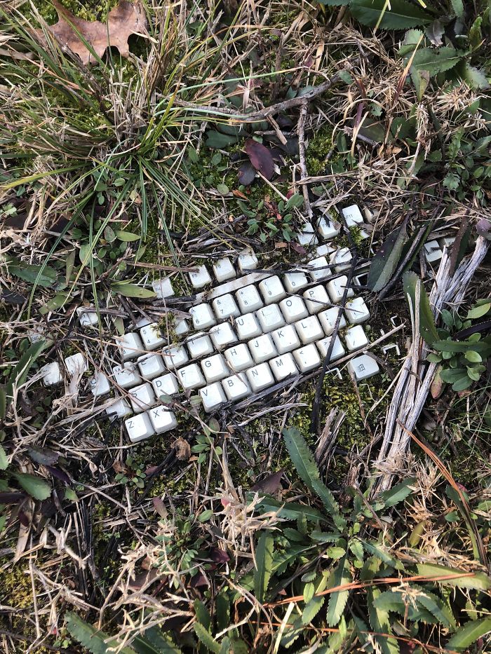 Random Keyboard In The Middle Of Woods