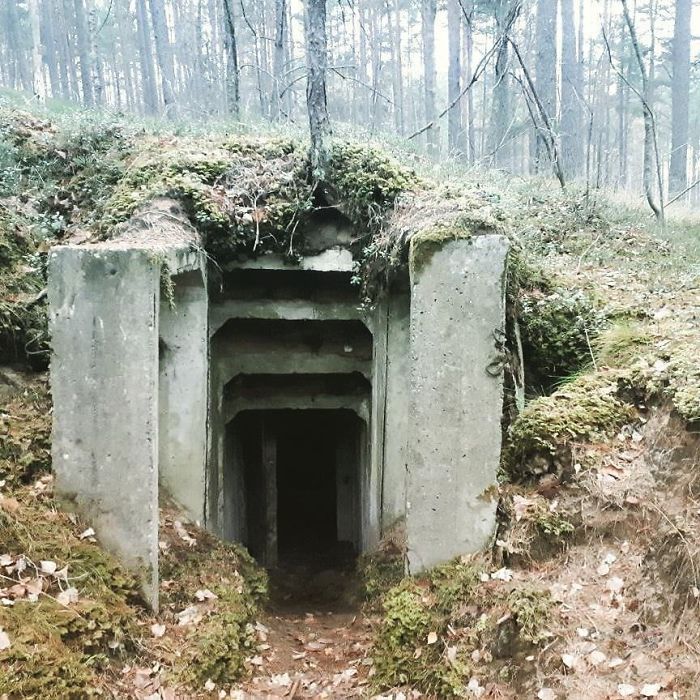 Found Old Soviet Bunkers In The Woods